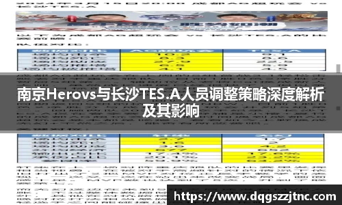 南京Herovs与长沙TES.A人员调整策略深度解析及其影响